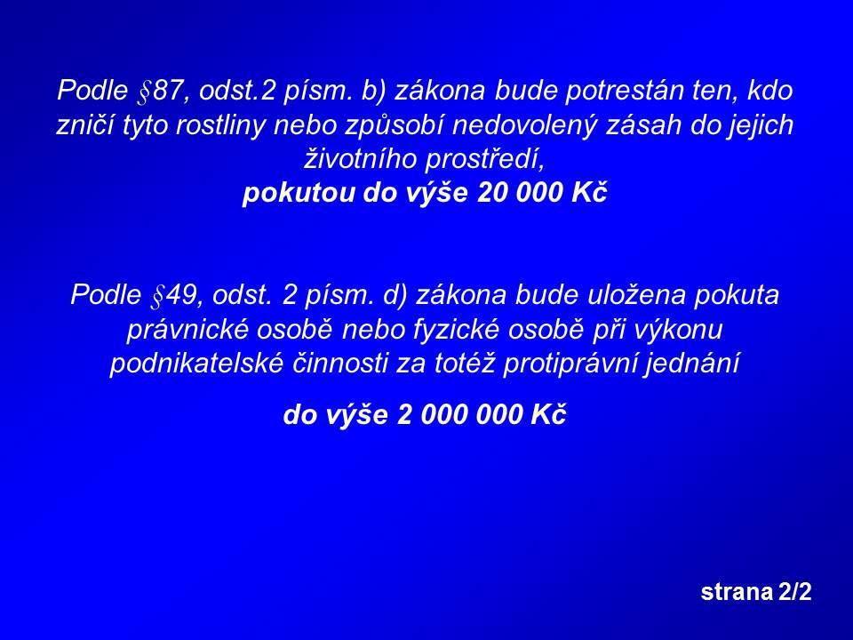 bledule2